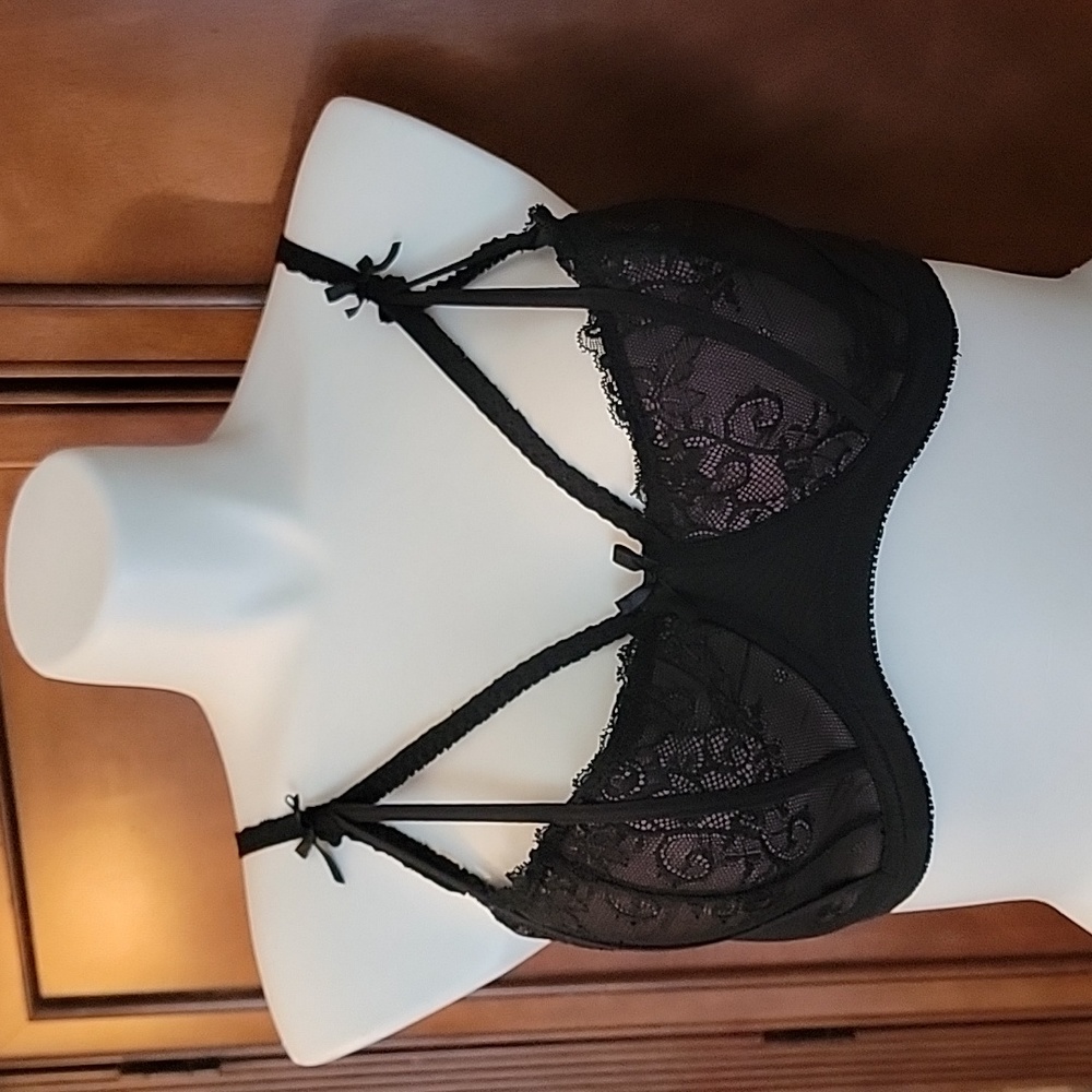 Hips & Curves, Sexy Lace Bra, Pink And Black, 38L (38 DD or E)